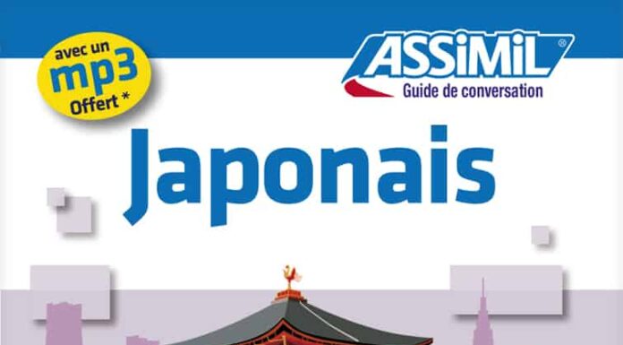 Critique : Japonais – guide de conversation