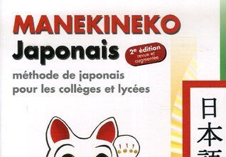 Critique : Manekineko japonais