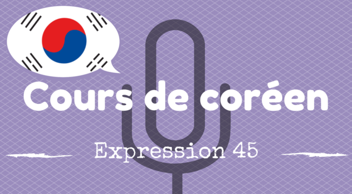 Cours de coréen : 나도 모르게 잠이 들어버렸어요 cours de coréen