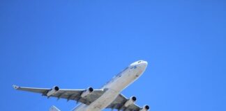 L’immersion, une étape essentielle pour l’apprentissage d’une langue