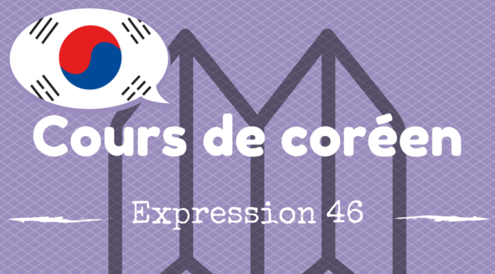 Cours de coréen : 그럴리가 없어요 expression coréenne