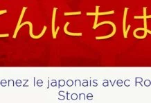 Rosetta stone japonais
