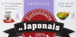 dictionnaire visuel japonais larousse