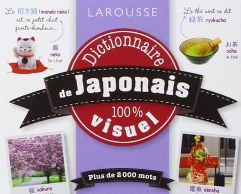 Critique: Dictionnaire de japonais 100% visuel dictionnaire visuel japonais larousse