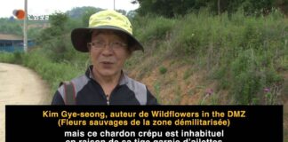 DMZ Zone demilitarisee