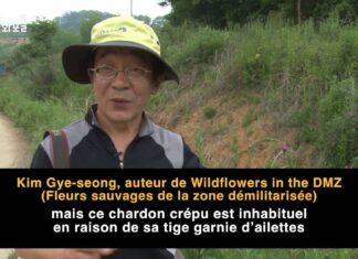 DMZ Zone demilitarisee