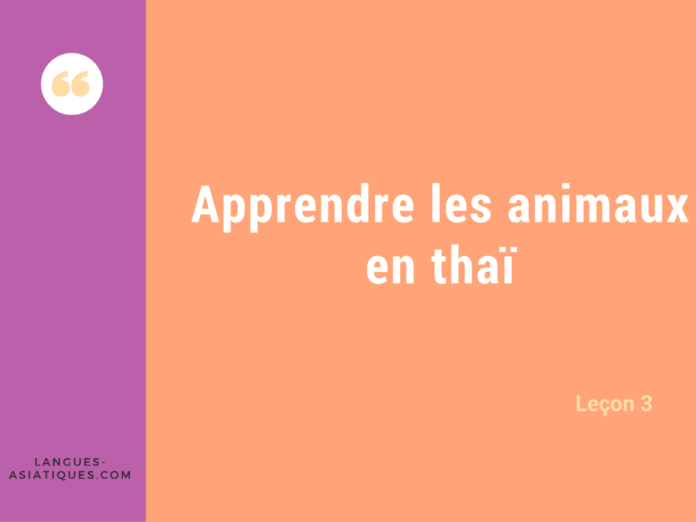 apprendre animaux thai apprendre animaux thai