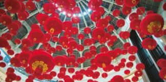 Critique: Ni shuo ya! Méthode de chinois A1/A2