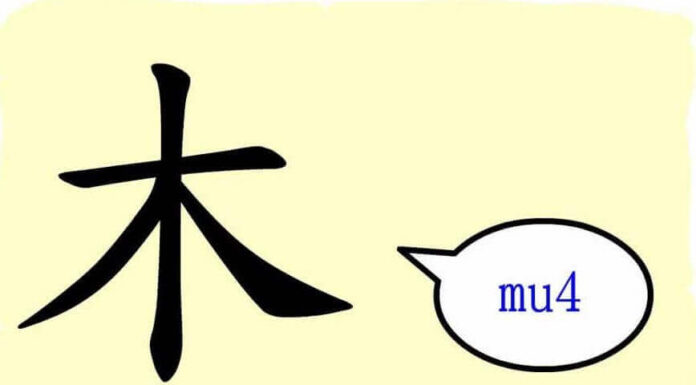 L'origine du caractère chinois 木 - mù - arbre