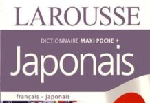 Dictionnaire Maxi Poche Plus français-japonais