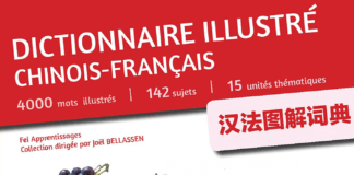 dictionnaire illustre chinois