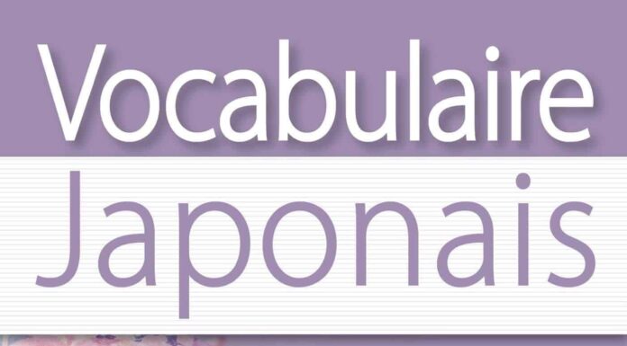 Critique: Vocabulaire japonais - Larousse
