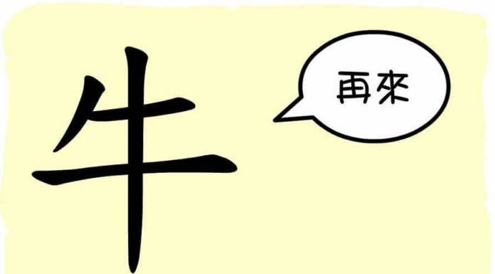 L'origine du caractère chinois 牛 - niú - vache