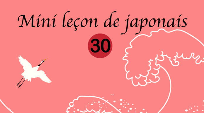 Mini cours de japonais 30 – めがおおきいです。はながあかいです mini cours de japonais 30