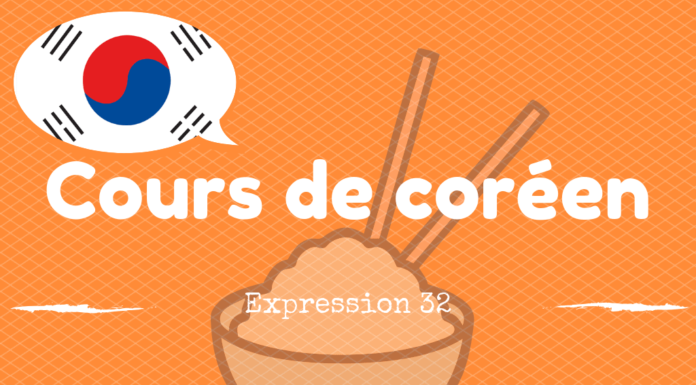 Cours de coréen : expression 32 – 한국 음식이 입에 잘 맞아요 Expression coreen 32