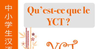 Qu'est-ce que le YCT ?