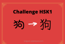 Test HSK1 – caractère chinois 狗  – gǒu – chien Test HSK1 - caractère chinois 狗 – gǒu – chien