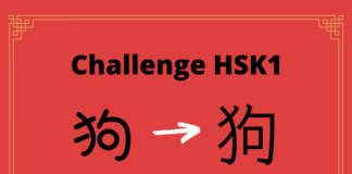 Test HSK1 - caractère chinois 狗 – gǒu – chien
