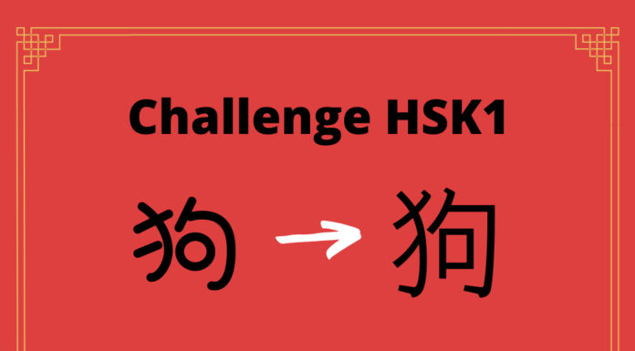 Test HSK1 - caractère chinois 狗 – gǒu – chien