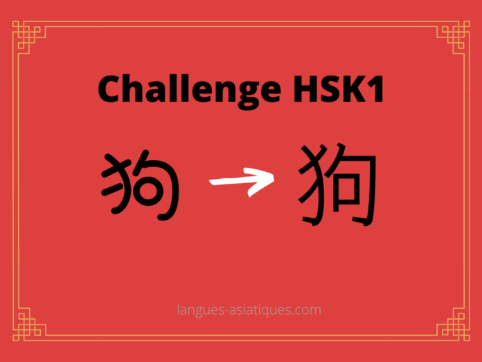 Test HSK1 - caractère chinois 狗 – gǒu – chien
