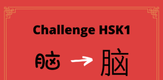 Test HSK1 - caractère chinois 脑 – nǎo – cerveau