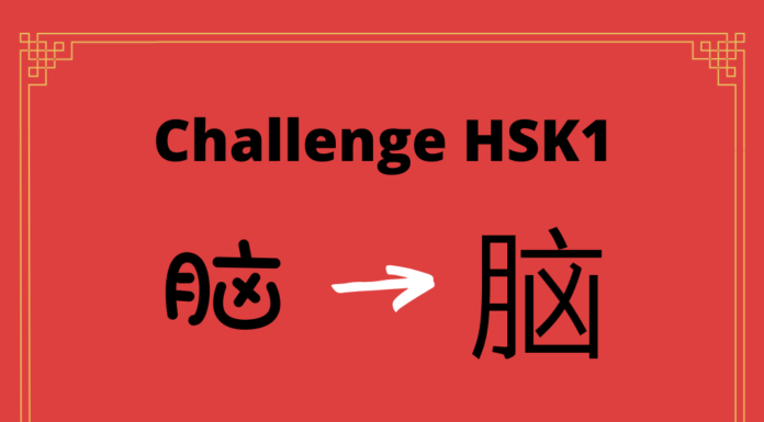 Test HSK1 - caractère chinois 脑 – nǎo – cerveau