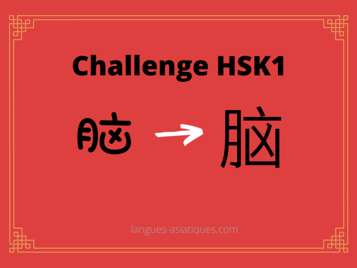 hsk-1-challenge-nao-cerveau Test HSK1 - caractère chinois 脑 – nǎo – cerveau