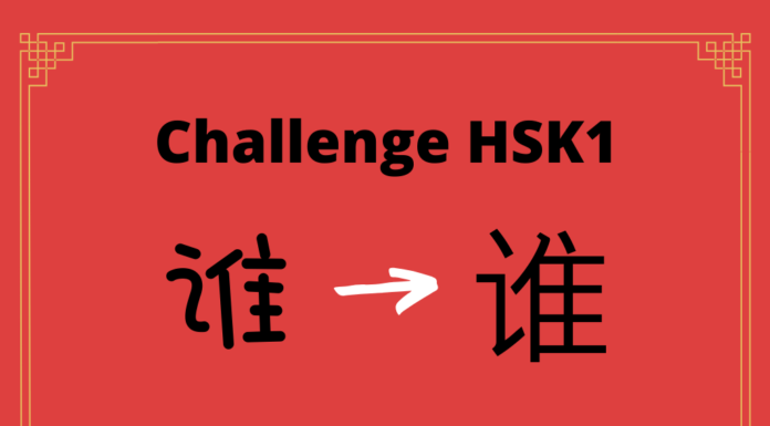 Test HSK1 – caractère chinois 谁 – shéi - qui
