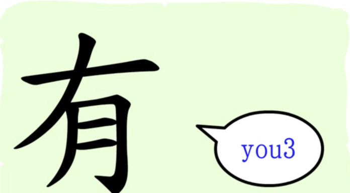 L'origine du caractère chinois 有 - yǒu - avoir