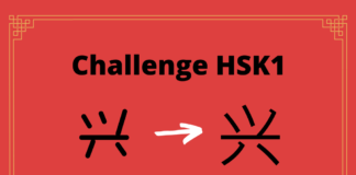 Test HSK1 - caractère chinois 兴 – xìng - goût