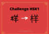 Test HSK1 – caractère chinois 样 – yàng - forme