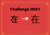 Test HSK1 - caractère chinois 在 – zài – exister