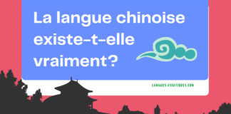 La langue chinoise existe-t-elle vraiment?