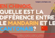 En chinois, quelle est la différence entre le mandarin et le cantonais?