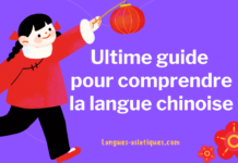 Ultime guide pour comprendre la langue chinoise