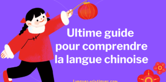Ultime guide pour comprendre la langue chinoise
