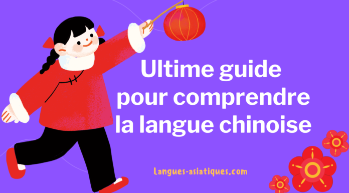 Ultime guide pour comprendre la langue chinoise