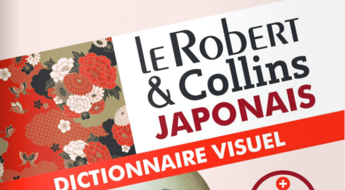 Critique: Le Robert & Collins - Dictionnaire visuel japonais