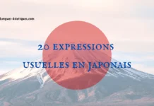 20 expressions usuelles en japonais