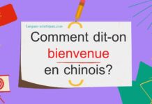 Comment dit-on bienvenue en chinois ? Comment dit-on bienvenue en chinois ?