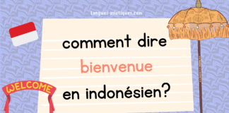 comment dire bienvenue en indonesien
