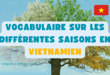 Vocabulaire sur les différentes saisons en vietnamien