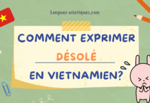 Comment exprimer désolé en vietnamien