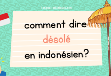 Comment dire désolé en indonésien