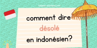 Comment dire désolé en indonésien