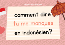Comment dire tu me manques en indonésien
