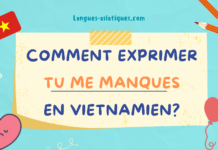 comment exprimer tu me manques en vietnamien