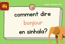 Comment exprimer bonjour en sinhala