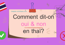 Comment dit-on oui & non en thaï ?